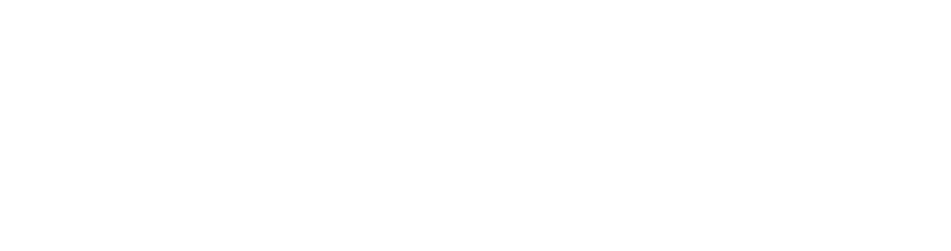 adobe-solution-partner-platinum-white.png
