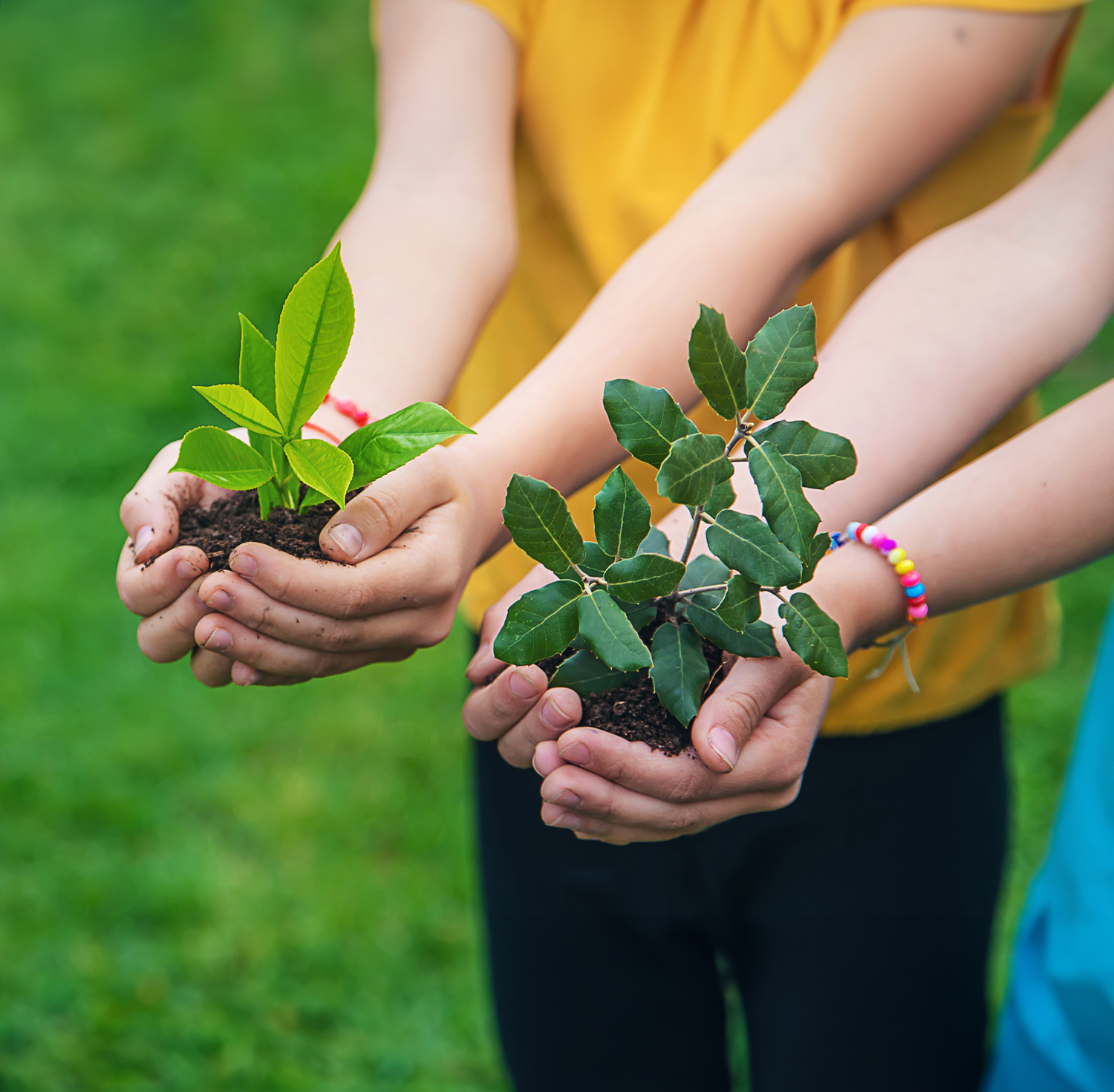 sustainability-23-24-7.jpg