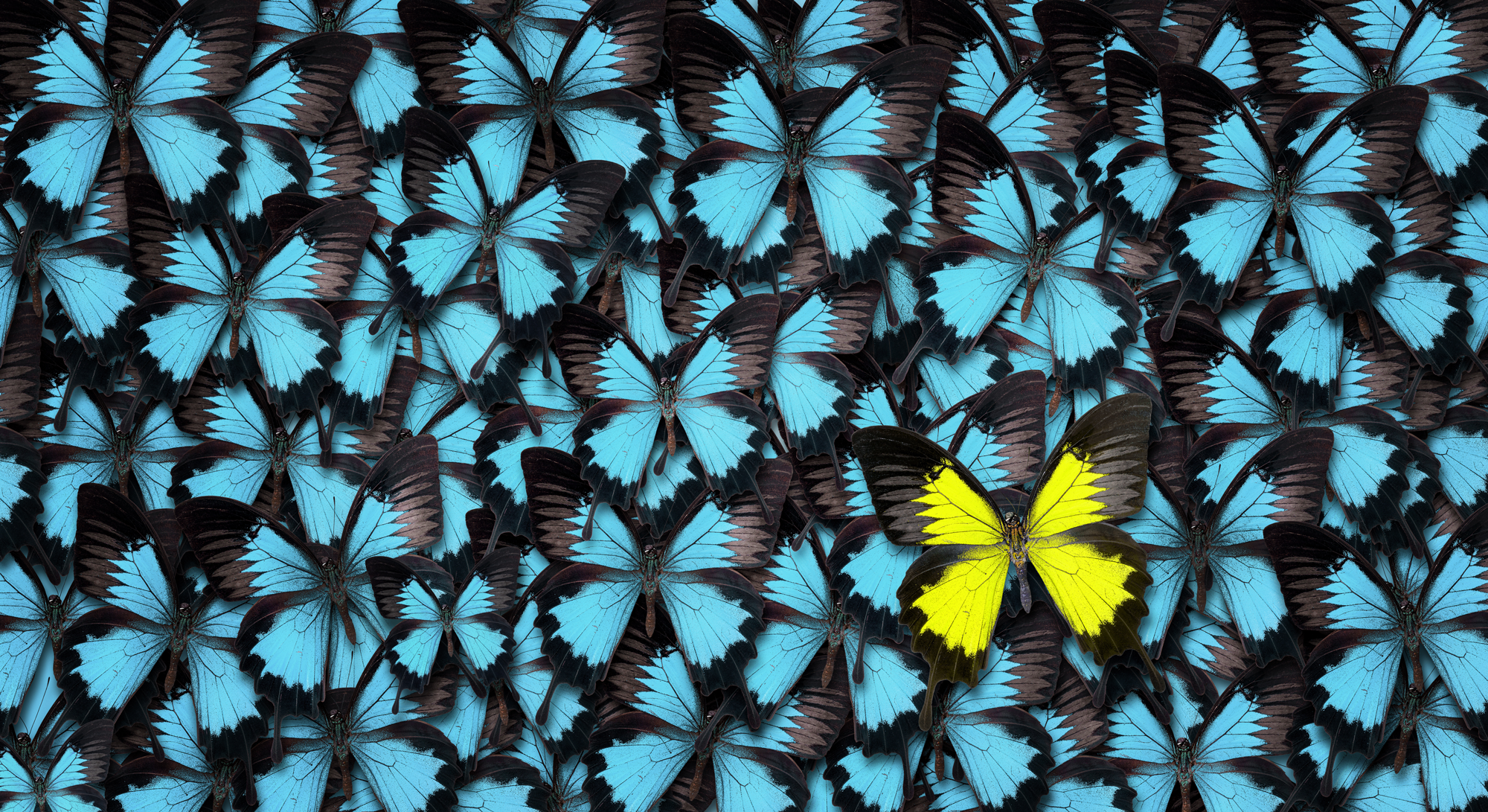 breaking-the-mold-human-centered-design.png