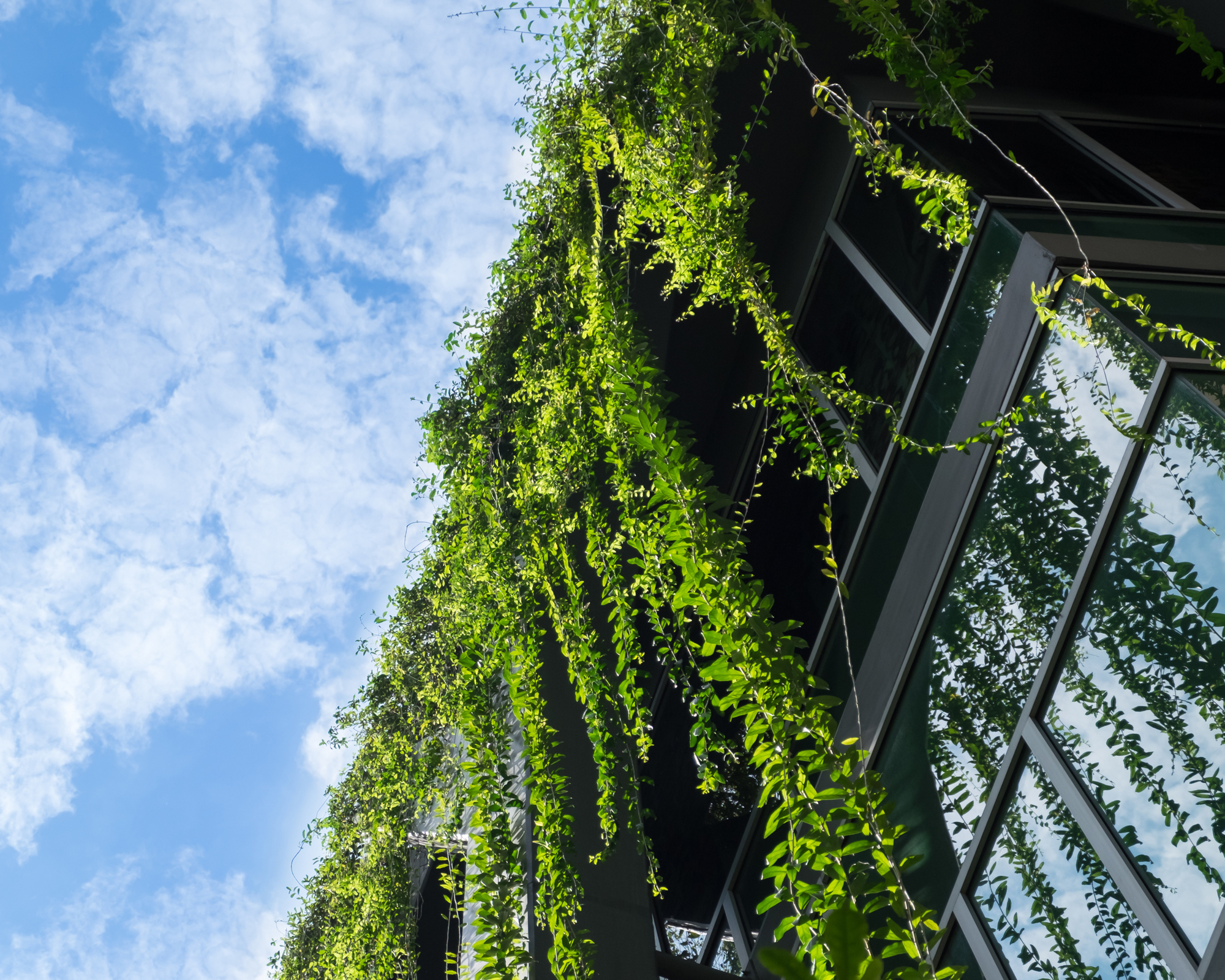 finding-the-balance-between-sustainability-and-innovation-hero-banner.jpg